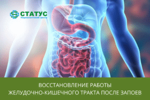 Восстановление работы желудочно‑кишечного тракта после запоев